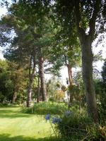 Garten von Fam. Miles &ndash; &copy; Beate Schreiber (Eberhardt TRAVEL)