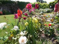 Blumenpracht &ndash; &copy; Beate Schreiber (Eberhardt TRAVEL)