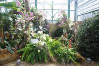 Orchid Foundation &ndash; &copy; Philipp Schmitz (Eberhardt TRAVEL)