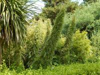 DSCN2593 &ndash; &copy; Vicky Kern (Eberhardt TRAVEL)