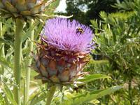 DSCN2604 &ndash; &copy; Vicky Kern (Eberhardt TRAVEL)