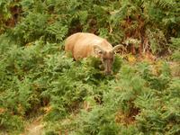 DSCN2702 &ndash; &copy; Vicky Kern (Eberhardt TRAVEL)