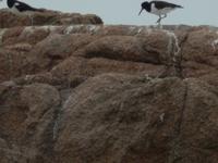 DSCN2856 &ndash; &copy; Vicky Kern (Eberhardt TRAVEL)