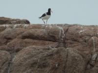 DSCN2859 &ndash; &copy; Vicky Kern (Eberhardt TRAVEL)