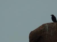 DSCN2862 &ndash; &copy; Vicky Kern (Eberhardt TRAVEL)