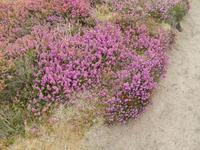 DSCN2864 &ndash; &copy; Vicky Kern (Eberhardt TRAVEL)