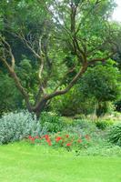 Gartentour &ndash; &copy; Cindy Streidt (Eberhardt TRAVEL)