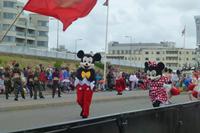 Battle of Flower &ndash; &copy; Cindy Streidt (Eberhardt TRAVEL)