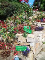 Nette Gartendeko in Rozel &ndash; &copy; Rebekka Böhme (Eberhardt TRAVEL)