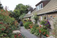 Sark &ndash; &copy; Sylvia Lorenz (Eberhardt TRAVEL)