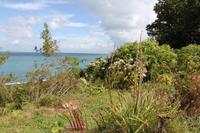 Rozel Bay &ndash; &copy; Sylvia Lorenz (Eberhardt TRAVEL)