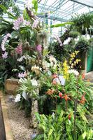 Eric Young Orchideen Farm &ndash; &copy; Sylvia Lorenz (Eberhardt TRAVEL)