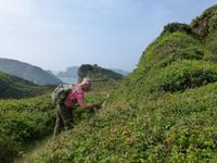 Sark &ndash; &copy; Ralf Kuchenbecker (Eberhardt TRAVEL)