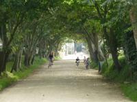 Sark &ndash; &copy; Ralf Kuchenbecker (Eberhardt TRAVEL)