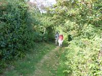 Sark &ndash; &copy; Ralf Kuchenbecker (Eberhardt TRAVEL)