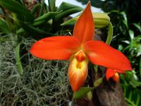 Eric Young Orcid Foundation &ndash; &copy; Ralf Kuchenbecker (Eberhardt TRAVEL)