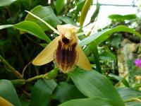 Eric Young Orcid Foundation &ndash; &copy; Ralf Kuchenbecker (Eberhardt TRAVEL)
