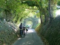 Jersey &ndash; &copy; Ralf Kuchenbecker (Eberhardt TRAVEL)