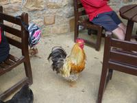 Hampton Country Life Museum &ndash; &copy; Ralf Kuchenbecker (Eberhardt TRAVEL)