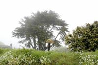 Auf der Insel Sark &ndash; &copy; Tessa Gäbler (Eberhardt TRAVEL)