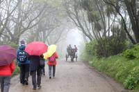 Auf der Insel Sark &ndash; &copy; Tessa Gäbler (Eberhardt TRAVEL)