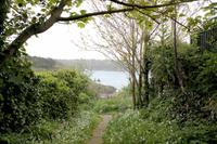Auf Guernsey, kleine Wanderung zur Saints Bay &ndash; &copy; Tessa Gäbler (Eberhardt TRAVEL)