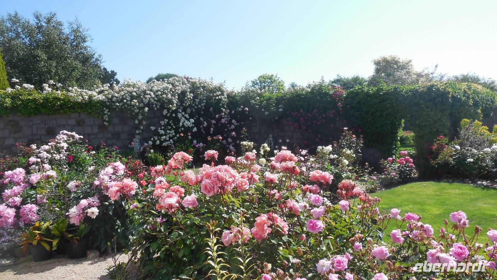 Privatgarten Mrs. Lies &ndash; &copy; Josefin Keilwagen (Eberhardt TRAVEL)