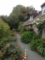 Cottage Sark &ndash; &copy; Josefin Keilwagen (Eberhardt TRAVEL)
