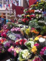 Central Markt &ndash; &copy; Josefin Keilwagen (Eberhardt TRAVEL)