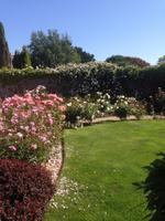 Garten Mrs. Lies &ndash; &copy; Josefin Keilwagen (Eberhardt TRAVEL)