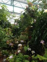 Eric Young Orchid Foundation &ndash; &copy; Josefin Keilwagen (Eberhardt TRAVEL)