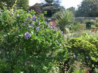 Garten La Seigneurie &ndash; &copy; Philipp Schmitz (Eberhardt TRAVEL)