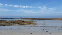 Guernsey &ndash; &copy; Martin Büchner (Eberhardt TRAVEL)