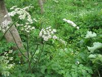 Wanderung zum 
