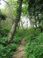 Wanderung zum 