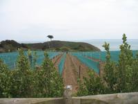 Wanderung zum 
