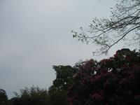 Weg zum 