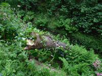 DSCN0296 &ndash; &copy; Josefin Keilwagen (Eberhardt TRAVEL)