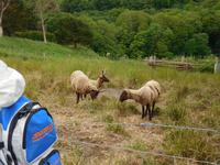 DSCN0308 &ndash; &copy; Josefin Keilwagen (Eberhardt TRAVEL)