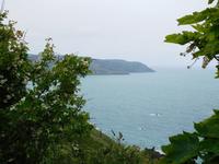 DSCN0467