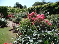 Gartentour (7)