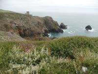 Guernsey (5) &ndash; &copy; Cathleen Schaper (Eberhardt TRAVEL)