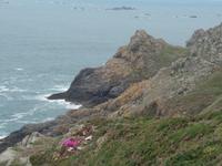 Guernsey (7) &ndash; &copy; Cathleen Schaper (Eberhardt TRAVEL)