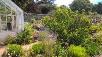 Sark (3)