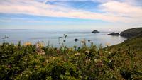 Sark (7) &ndash; &copy; Cathleen Schaper (Eberhardt TRAVEL)