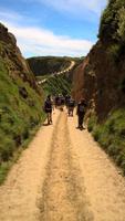 Sark (10) &ndash; &copy; Cathleen Schaper (Eberhardt TRAVEL)