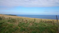Landschaft auf Sark &ndash; &copy; Katrin Kerpa (Eberhardt TRAVEL)