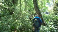5_Wanderung La Coupee (3) &ndash; &copy; Daniela Paulan (Eberhardt TRAVEL)