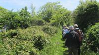 5_Wanderung La Coupee (7) &ndash; &copy; Daniela Paulan (Eberhardt TRAVEL)