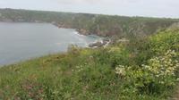 18_Unterwegs auf Guernsey (6) &ndash; &copy; Daniela Paulan (Eberhardt TRAVEL)